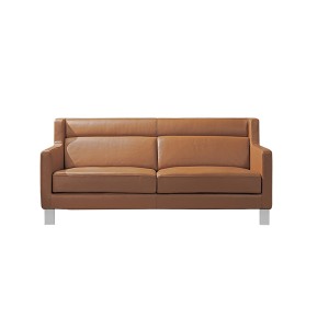 Spaziosa-2-seater-tan-leather-sofa