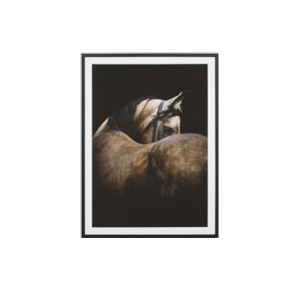 FRAMED-PRINT-CHESTNUT-STEED-HORSE